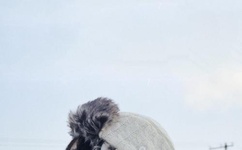 男神插曲女生漫画